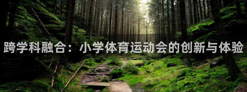 yy易游官网下载:跨学科融合:小学体育运动会的创新与体验