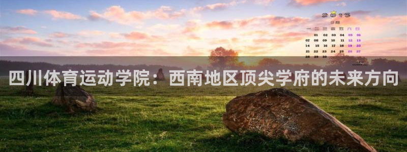 yy易游官方正版app官网:四川体育运动学院:西南地区顶尖学